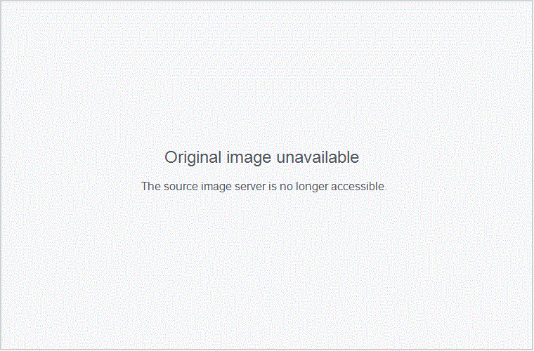 spacer.gif